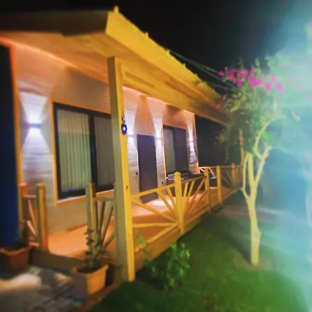 ヴィラ Black Cat Villa's *